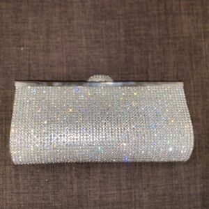 Elegant Silver Clutch Bag